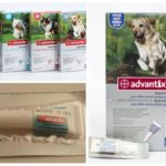 Les puces gouttes Advantiks