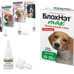 Drops Blohnet-1