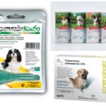 Gouttes aux puces chez les chiens