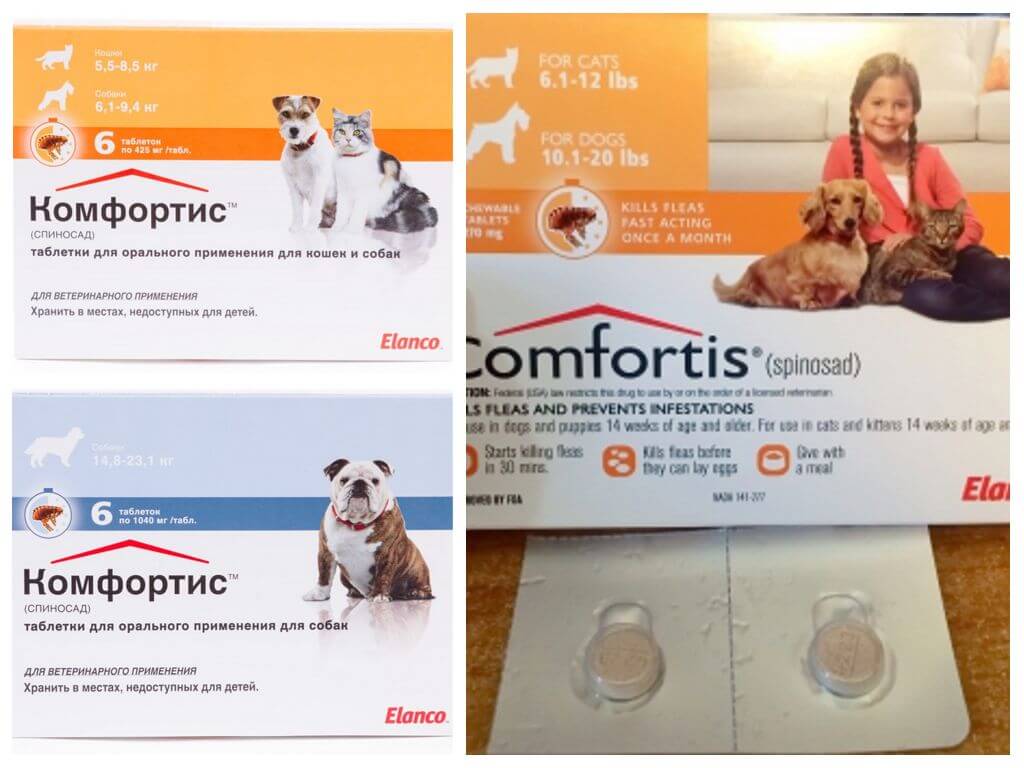 Confortix-1