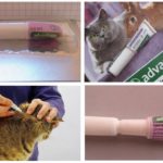 Appliquer des gouttes aux puces