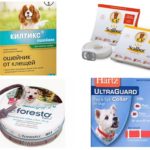 Colliers anti-puces chez les chiens