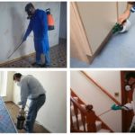 Traitement professionnel