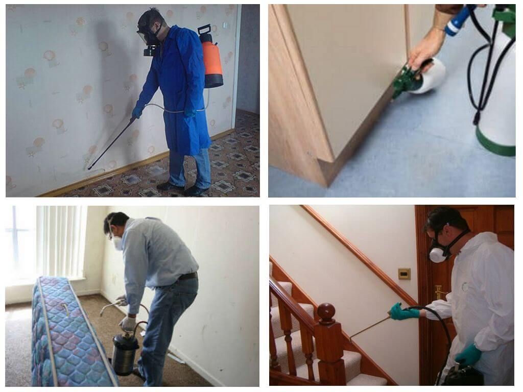 Traitement professionnel
