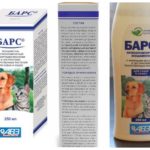 Shampoing léopard aux puces