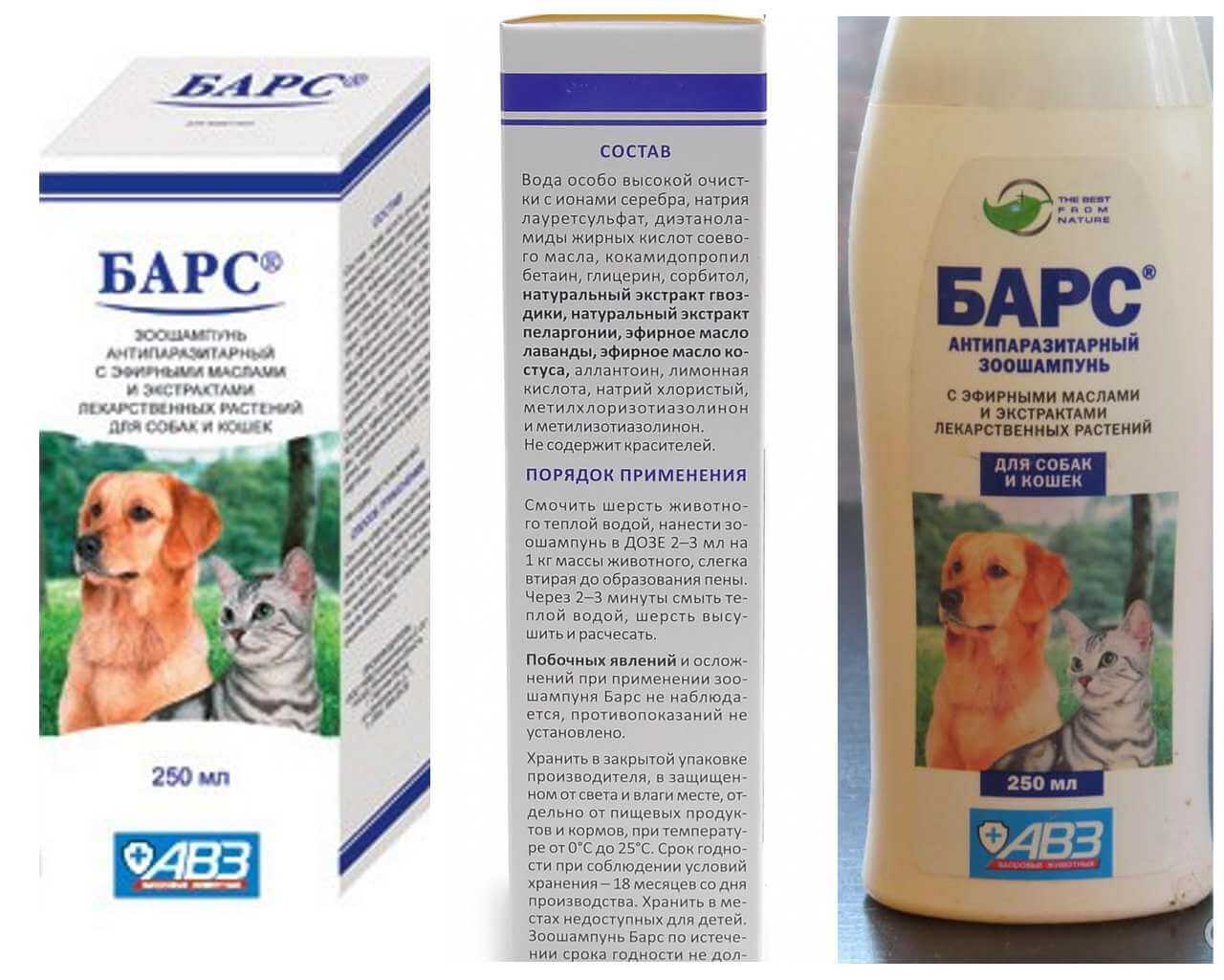 Shampoing léopard aux puces