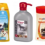 Shampooing Aux Puces-1