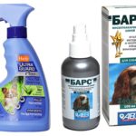 Spray aux puces