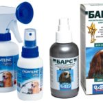 Sprays contre les puces chez les chiens