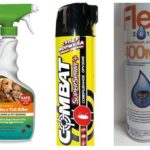 Spray aux puces dans la maison-1