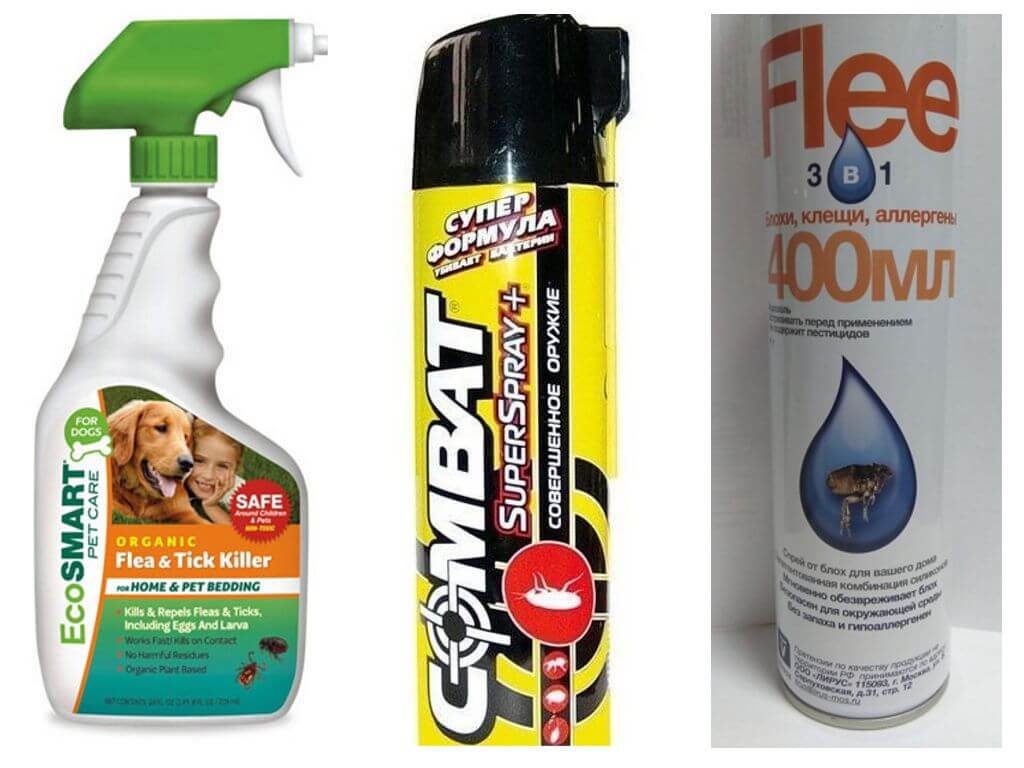Spray aux puces dans la maison-1