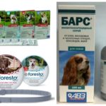 Fournitures de chien