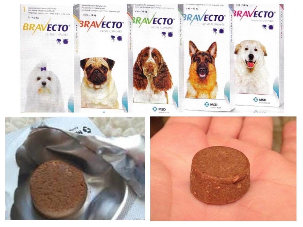 Comprimés Bravekto-1