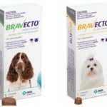 Comprimés Bravecto