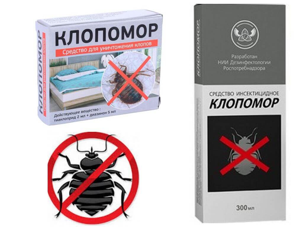 Insecticide