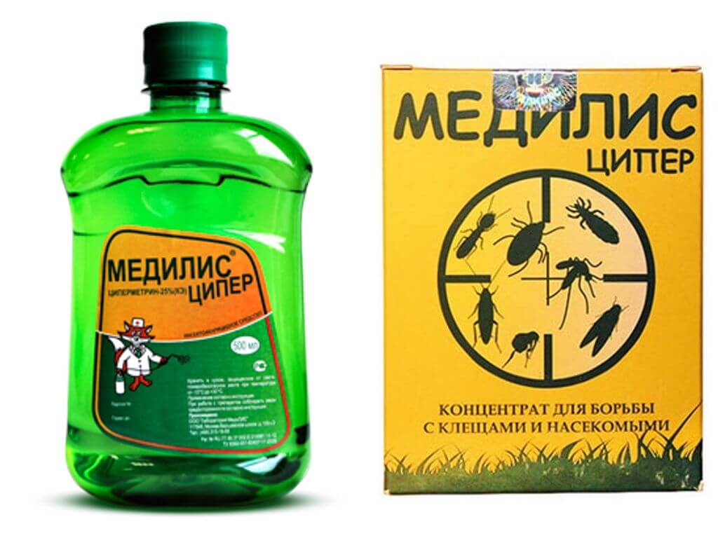 Medilis Tsiper