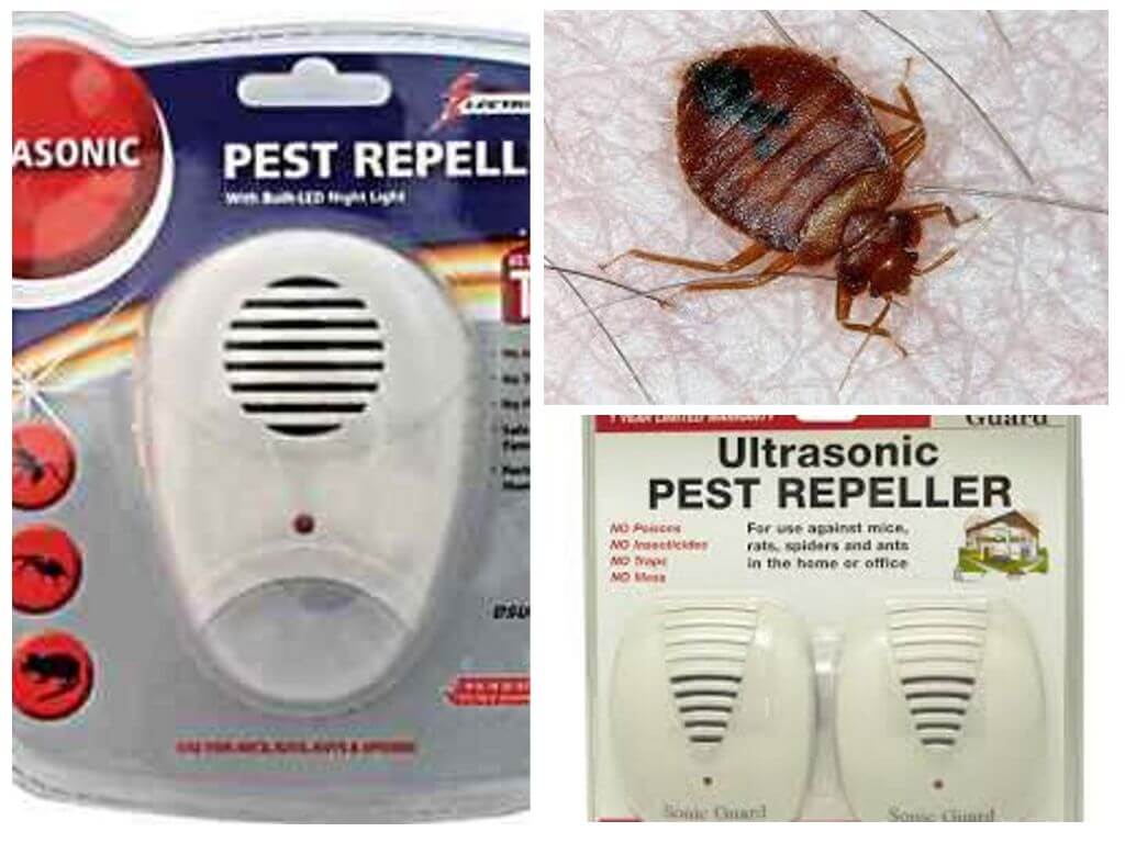 Pest Repeller-1 Repeller