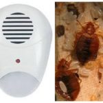 Répulsif antiparasitaire