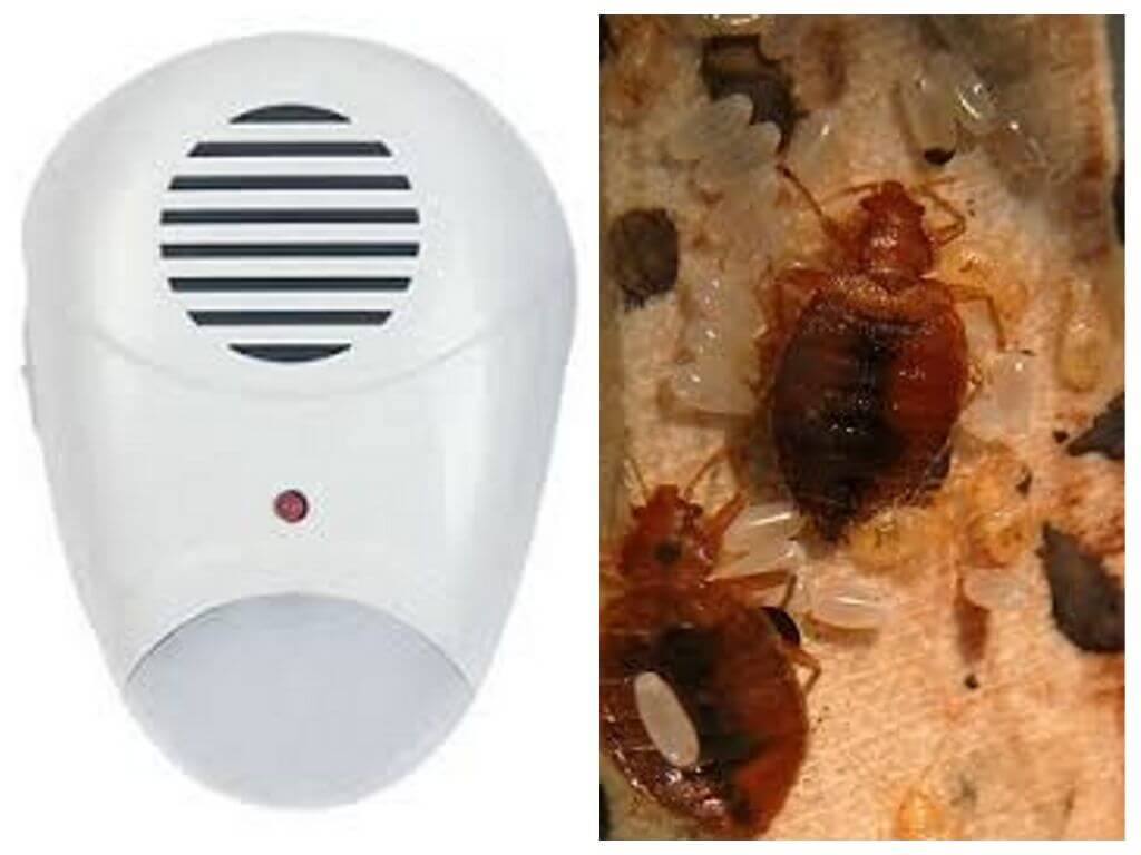 Répulsif antiparasitaire