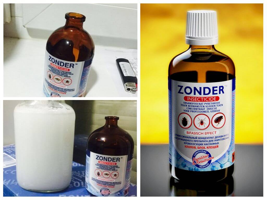 Drug Zonder-1