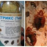 Moyens Tetriks-1