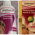 Shampooing Paranit