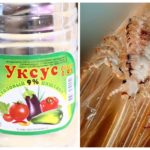 Vinaigre de poux