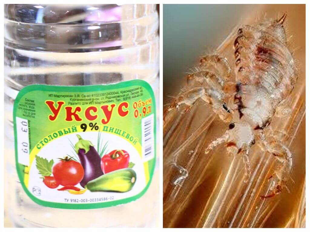 Vinaigre de poux