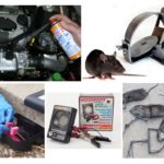 Se débarrasser des rats