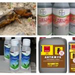 Produits insecticides du Medvedka