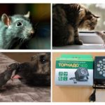 Lutte antiparasitaire