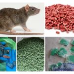 Poison de rat