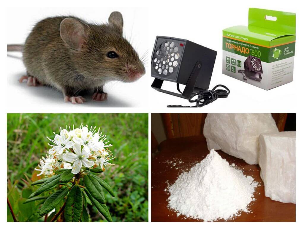 Méthodes de gestion des souris