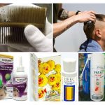 Traitement des poux chez les enfants