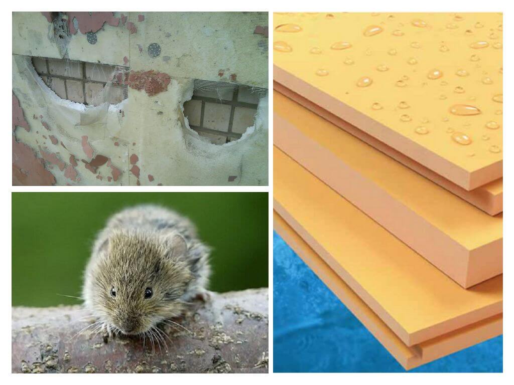 Souris et polyester