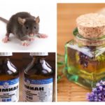 Remèdes populaires pour les souris