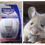 Répulsif ultrasonique de rats et souris Clean house
