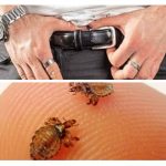 Hommes atteints de glande thyroïde
