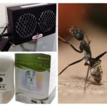 Lutte antiparasitaire