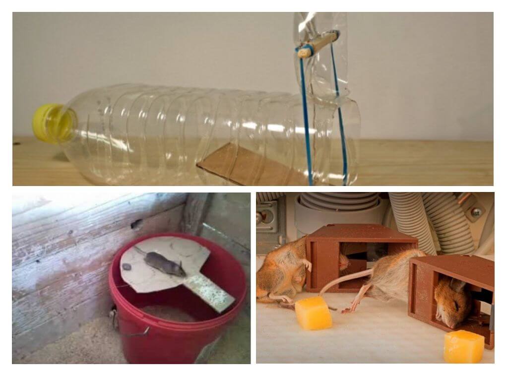 Appareils faits maison
