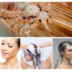 Appliquer le shampooing contre les poux