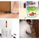 Façons de tuer les insectes