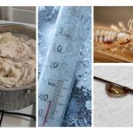 Froid et chaleur pour les parasites