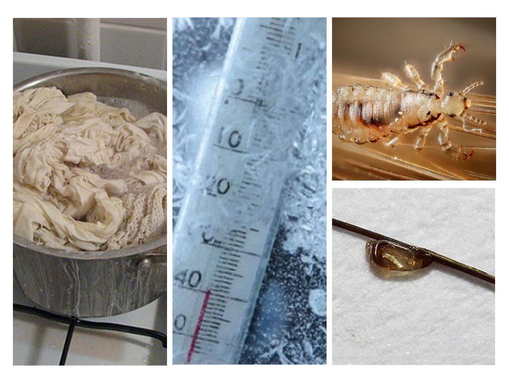 Froid et chaud des parasites