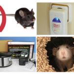 Installer le répulsif de souris