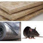 Isolants qui rongent les rats