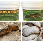 Vowatox de l'organisme nuisible