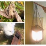 Comment se débarrasser des chauves-souris à la maison