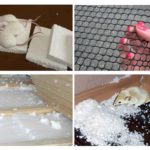 Protège la mousse des souris