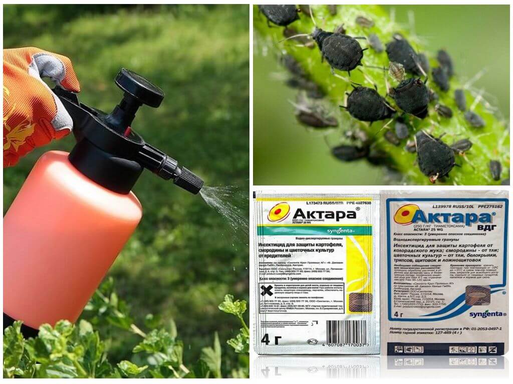 Application de pesticides